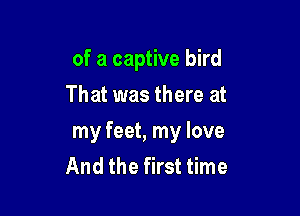 of a captive bird
That was there at

my feet, my love
And the first time