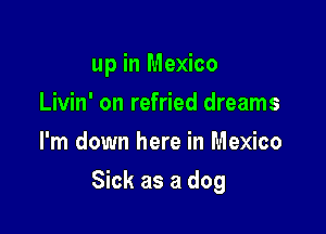 up in Mexico
Livin' on refried dreams
I'm down here in Mexico

Sick as a dog