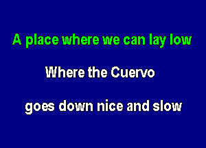 A place where we can lay low

Where the Cuervo

goes down nice and slow