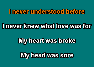I never understood before

I never knew what love was for

My heart was broke

My head was sore