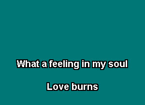 What a feeling in my soul

Love burns