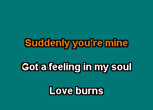 Suddenly you're mine

Got a feeling in my soul

LOVE burns