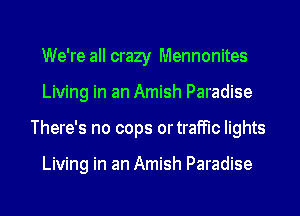 We're all crazy Mennonites
Living in an Amish Paradise
There's no cops ortrafFIc lights

Living in an Amish Paradise