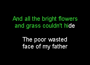 And all the bright flowers
and grass couldn't hide

The poor wasted
face of my father