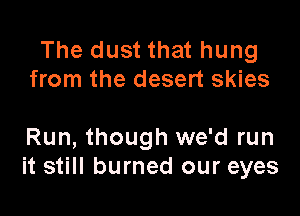 The dust that hung
from the desert skies

Run, though we'd run
it still burned our eyes