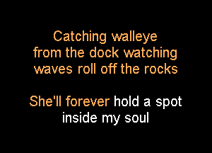 Catching walleye
from the dock watching
waves roll off the rocks

She'll forever hold a spot
inside my soul