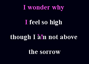 I wonder Why

I feel so high
though I Ez'n not above

the sorrow