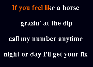 If you feel like a horse
grazin' at the dip
call my number anytime

night or day I'll get your fix
