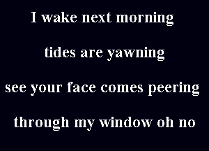 I wake next morning
tides are yawning
see your face comes peering

through my Window 011 no