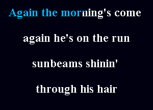 Again the morning's come
again he's on the run
sunbeams shinin'

through his hair