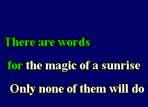 There are words
for the magic of a sunrise

Only none of them Will (10