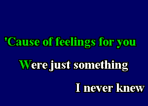 'Cause of feelings for you

W ere just something

I never knew