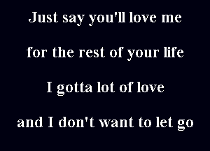 Just say you'll love me
for the rest of your life
I gotta lot of love

and I don't want to let go