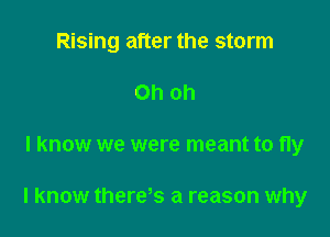 Rising after the storm

Ohoh
I know we were meant to fly

I know theres a reason why