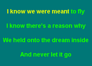 I know we were meant to fly
I know there,s a reason why
We held onto the dream inside

And never let it go