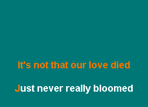 It's not that our love died

Just never really bloomed