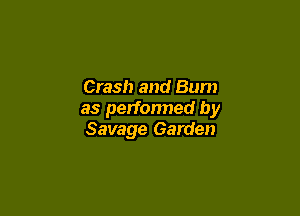 Crash and Bum

as performed by
Savage Garden