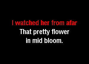 lwatched her from afar
That pretty flower

in mid bloom.