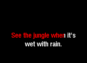 See the jungle when it's
wet with rain.