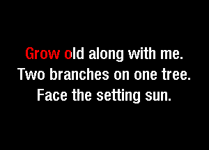 Grow old along with me.

Two branches on one tree.
Face the setting sun.