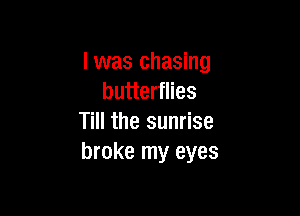 l was chasing
butterflies

Till the sunrise
broke my eyes