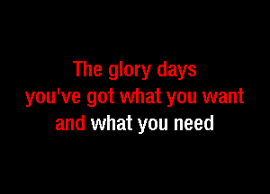 The glory days

you've got what you want
and what you need