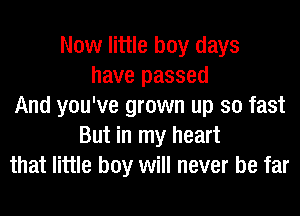 Now little boy days
have passed
And you've grown up so fast
But in my heart
that little boy will never be far