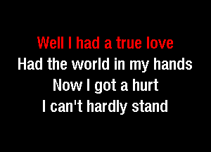 Well I had a true love
Had the world in my hands

Now I got a hurt
I can't hardly stand