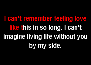 I can't remember feeling love
like this in so long. I can't
imagine living life without you
by my side.