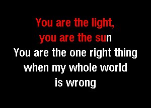 You are the light,
you are the sun
You are the one right thing

when my whole world
is wrong