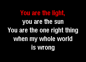 You are the light,
you are the sun
You are the one right thing

when my whole world
is wrong