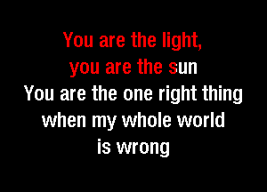 You are the light,
you are the sun
You are the one right thing

when my whole world
is wrong