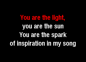 You are the light,
you are the sun

You are the spark
of inspiration in my song