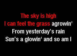 The sky is high
I can feel the grass agrowin'

From yesterday's rain
Suws a glowin' and so am I