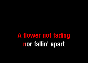 A flower not fading
nor fallin' apart