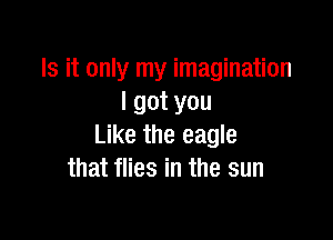 Is it only my imagination
I got you

Like the eagle
that flies in the sun