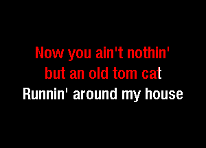 Now you ain't nothin'

but an old tom cat
Runnin' around my house