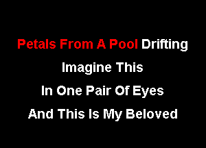Petals From A Pool Drifting
Imagine This

In One Pair Of Eyes
And This Is My Beloved