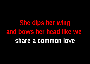 She dips her wing

and bows her head like we
share a common love