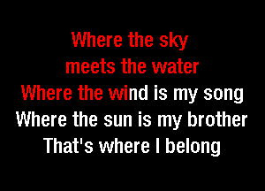 Where the sky
meets the water
Where the wind is my song
Where the sun is my brother
That's where I belong