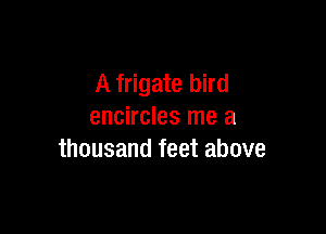 A frigate bird

encircles me a
thousand feet above