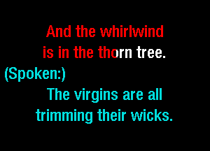 And the whirlwind

is in the thorn tree.
(Spokenz)

The virgins are all
trimming their wicks.