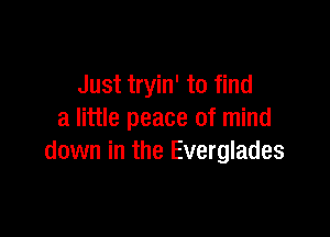 Just tryin' to find

a little peace of mind
down in the Everglades