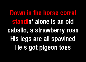 Down in the horse corral
standin' alone is an old
caballo, a strawberry roan
His legs are all spavined
He's got pigeon toes
