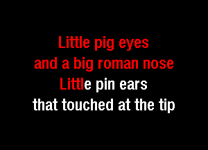 Little pig eyes
and a big roman nose

Little pin ears
that touched at the tip