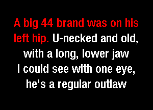 A big 44 brand was on his
left hip. U-necked and old,
with a long, lower jaw
I could see with one eye,
he's a regular outlaw