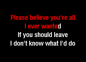 Please believe you're all
I ever wanted

If you should leave
I don't know what I'd do