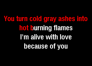 You turn cold gray ashes into
hot burning flames

I'm alive with love
because of you