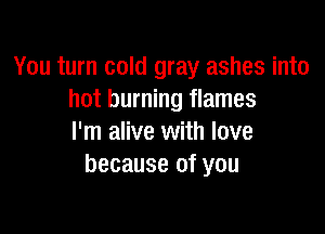 You turn cold gray ashes into
hot burning flames

I'm alive with love
because of you