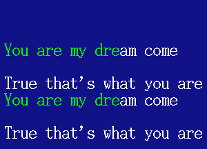 You are my dream come

True thatos what you are
You are my dream come

True thatos what you are